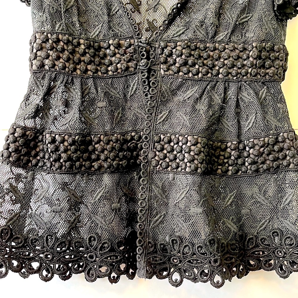 Nanette Lepore Lace Embroidered Sheer Top - Picture 5 of 10
